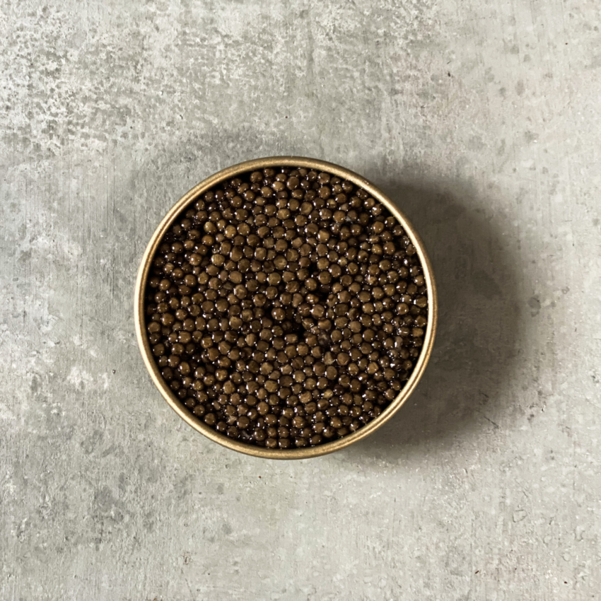 Gold Selection 2 Caviar