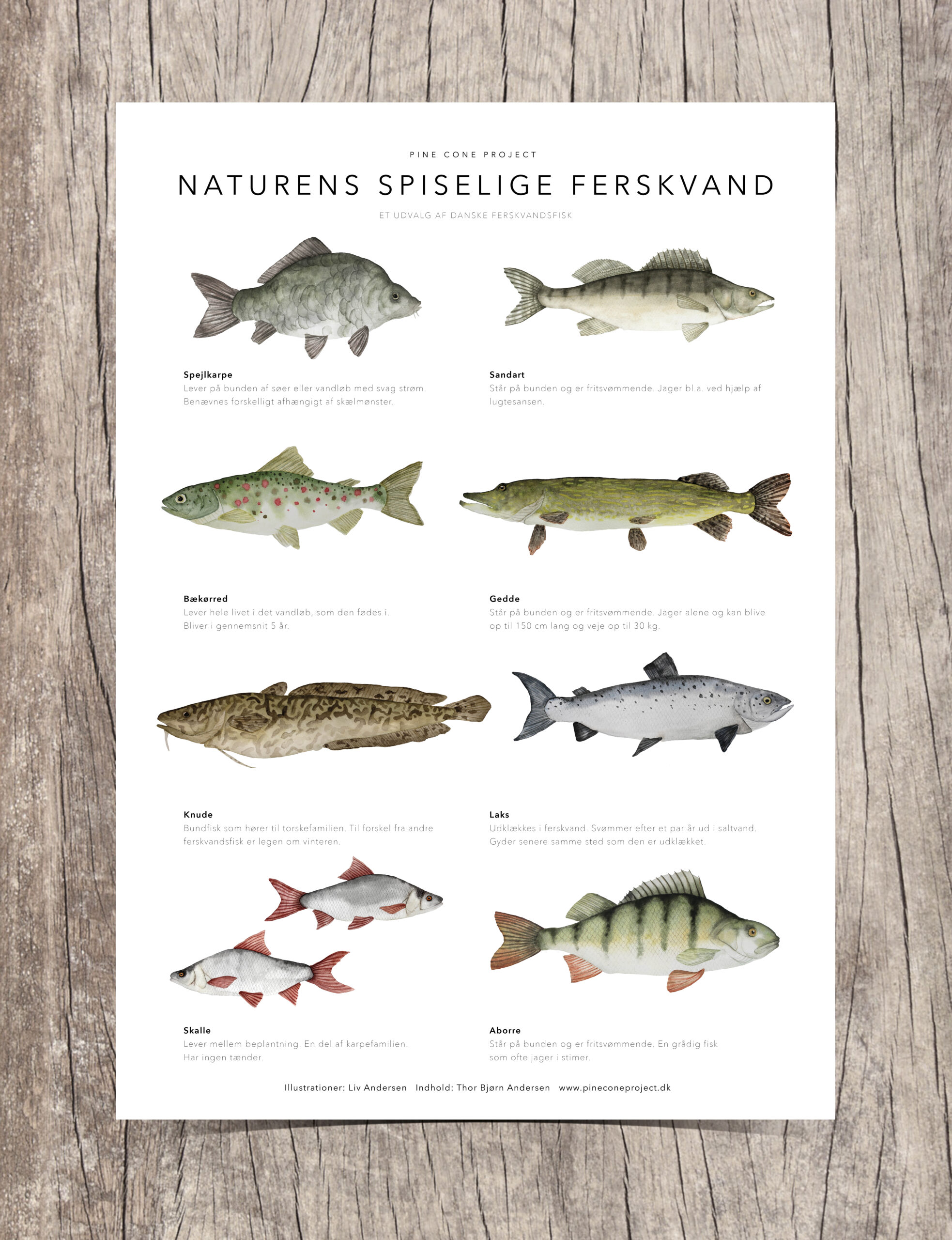 Naturens Spiselige Ferskvand – Oversigtsplakat A3