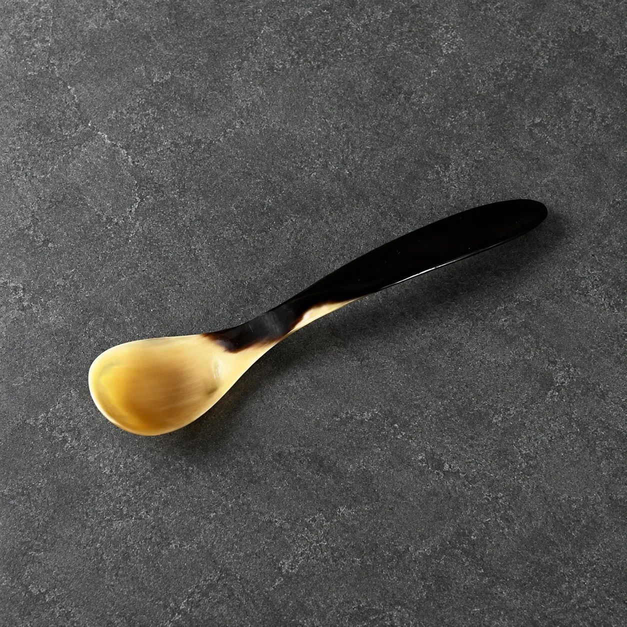 Horn Spoon Panama