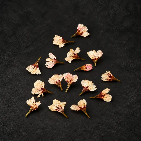 Tørrede sakurablomster - 50stk.
