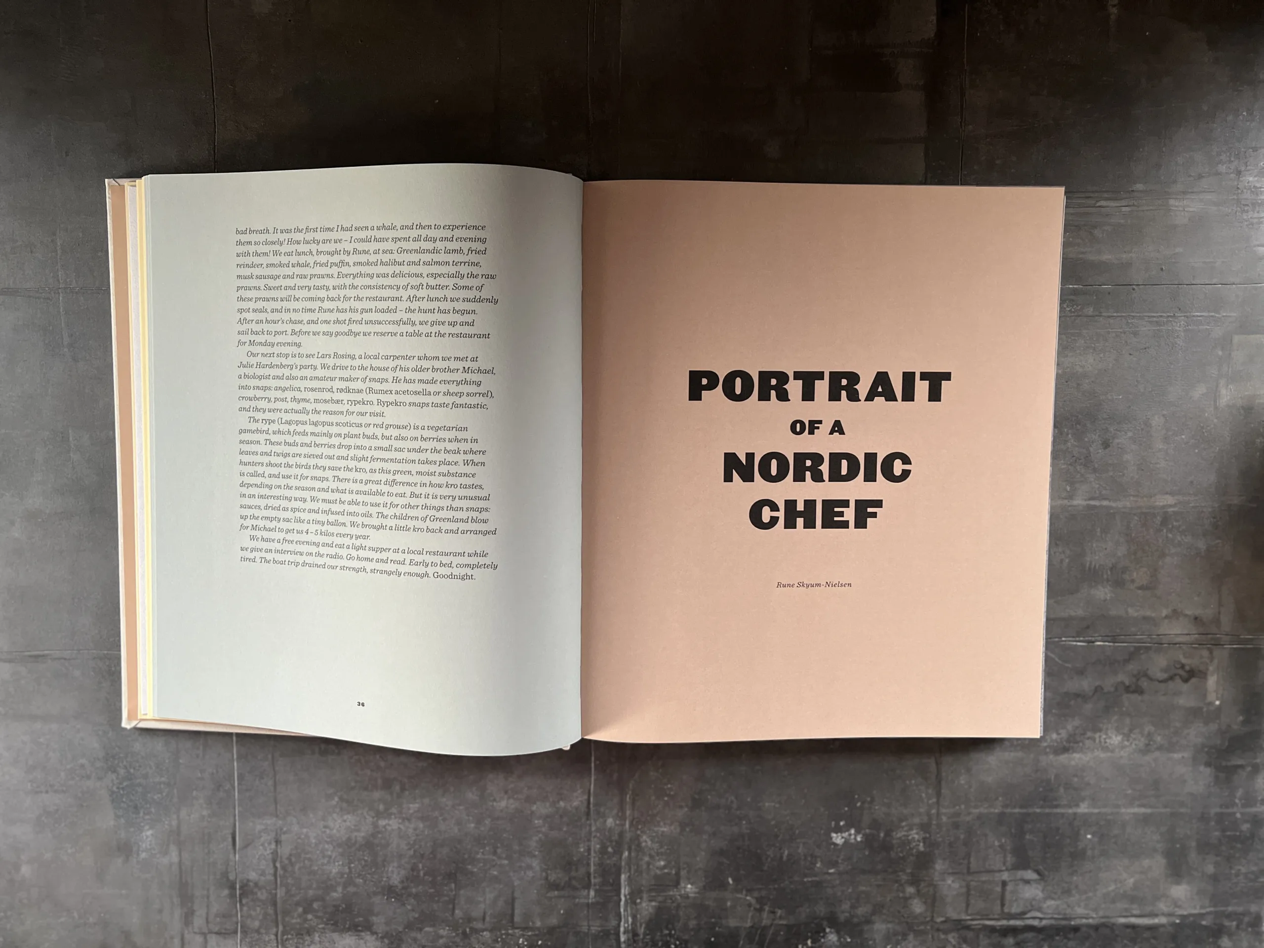 Noma: Time and Place in Nordic Cuisine - Billede 2