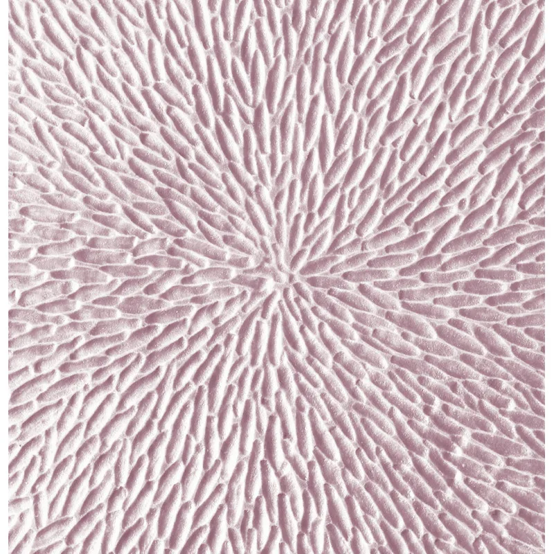 Mineral Irise Nacre – Flat plate – Rim – 22cm - Image 3