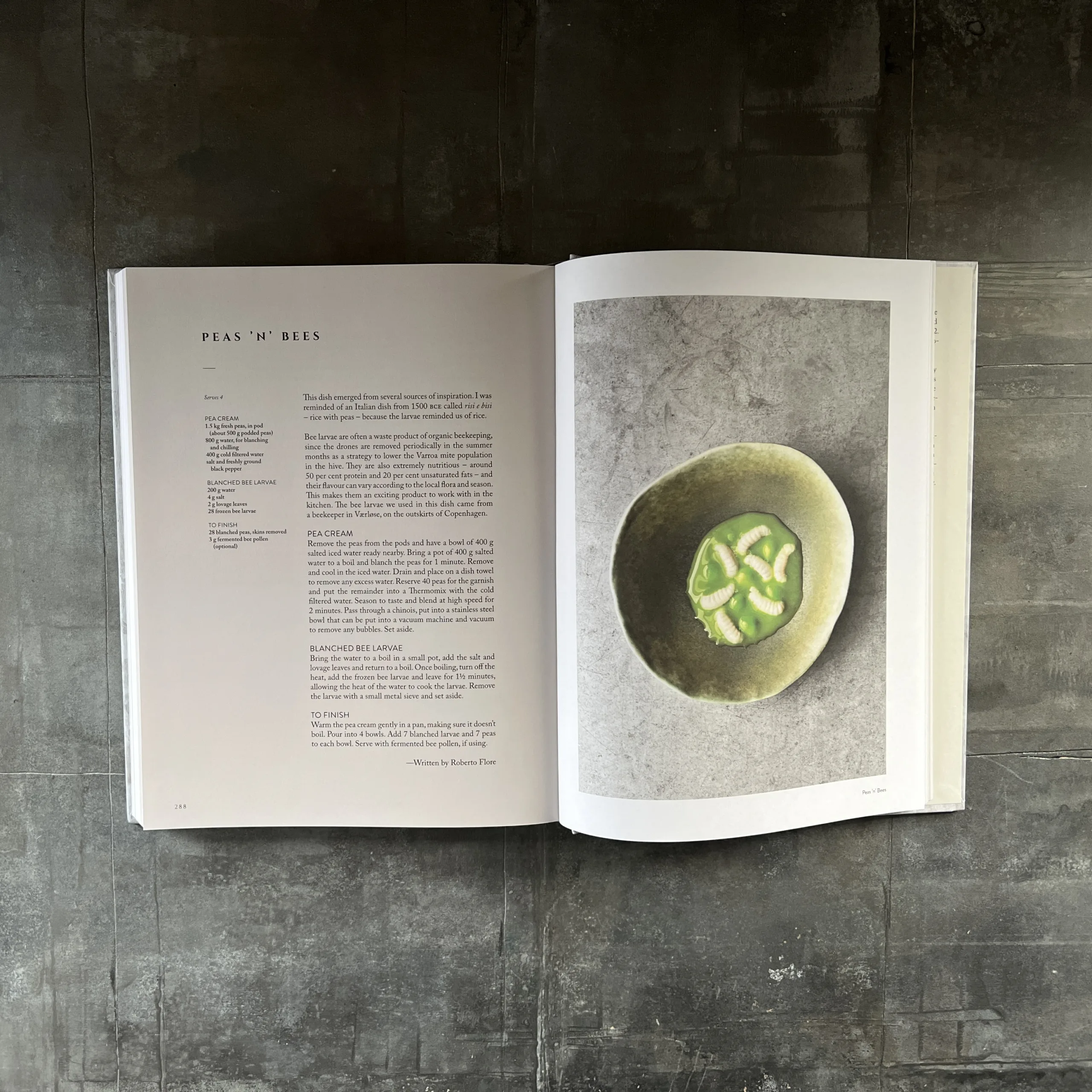 On Eating Insects: Essays, Stories and Recipes - Image 2