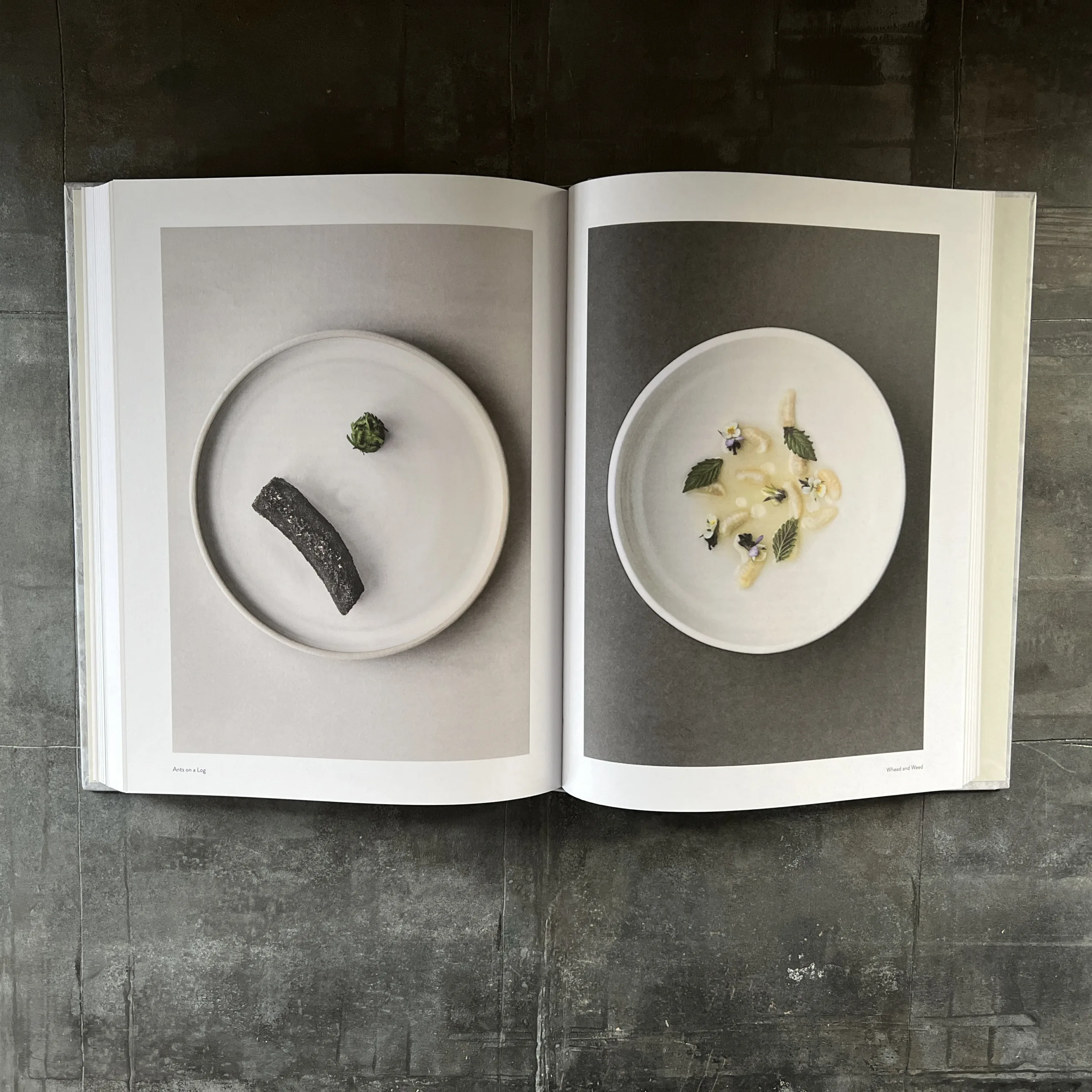 On Eating Insects: Essays, Stories and Recipes - Image 3
