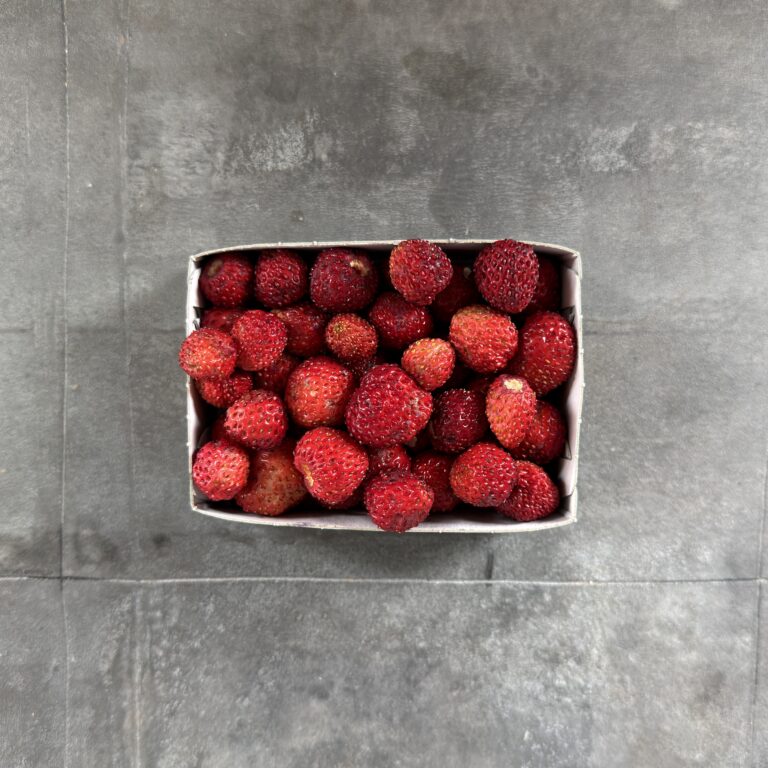 Wild Strawberries – Wild Strawberries – 100g