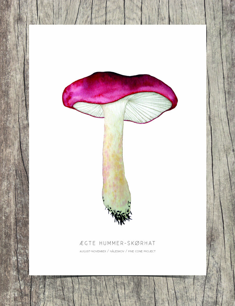True Lobster-Russula A4