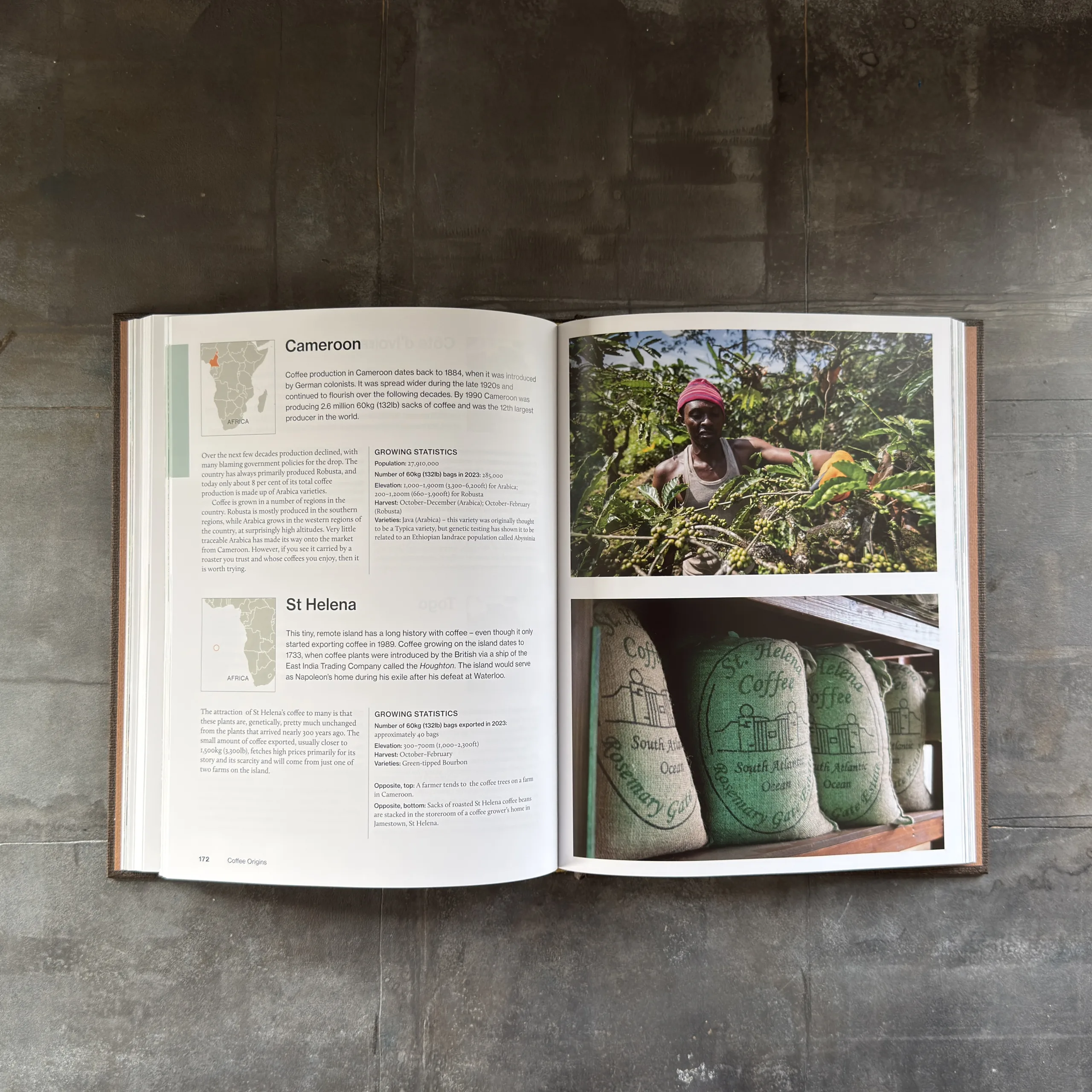 The World Atlas of Coffee - 3rd Edition - Billede 4