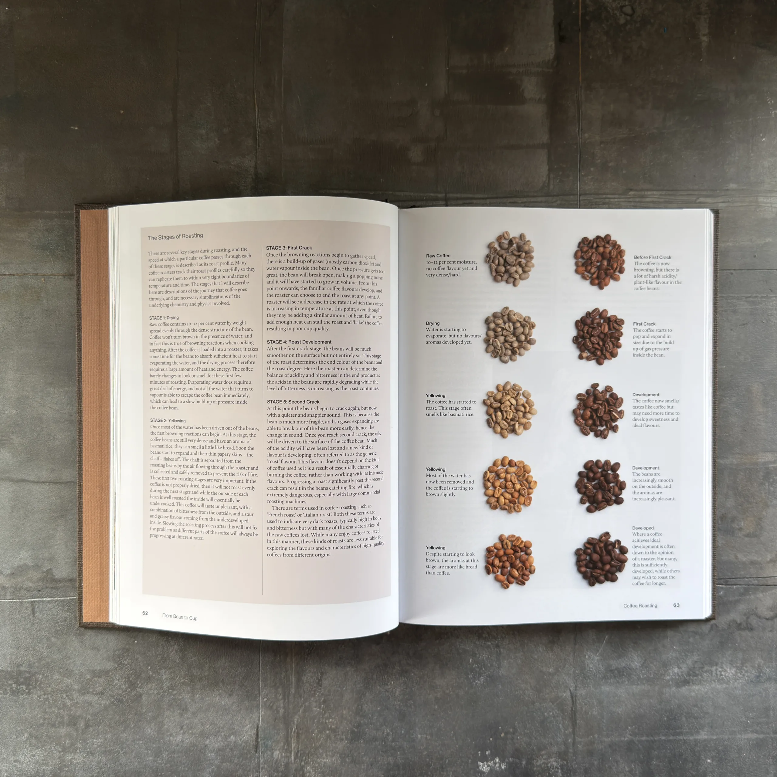 The World Atlas of Coffee - 3rd Edition - Billede 3
